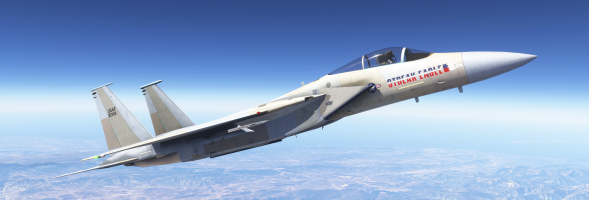 Microsoft Flight Simulator 2024 5_7_2025 11_27_16 AM.png