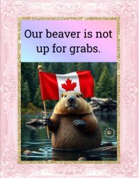 beaver grab.jpg
