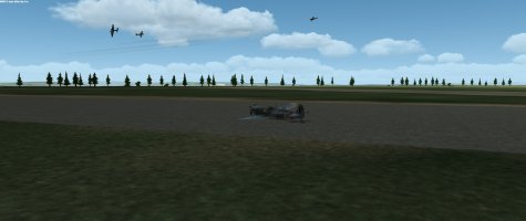 250327 Spit belly.jpg