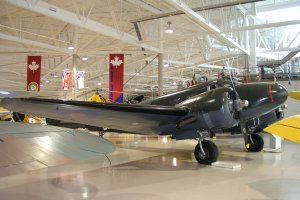 bae4.jpg