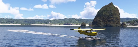 Microsoft Flight Simulator 2024 6_25_2025 12_00_02 PM_upload.jpg