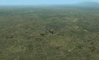1000002333.jpg