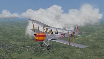 Vichy_Tigermoth.jpg