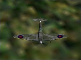 Spitfire 1.jpg