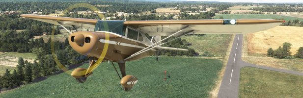 Microsoft Flight Simulator 8_12_2025 2_07_10 PM_wide.jpg