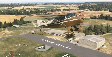 Microsoft Flight Simulator 8_12_2025 2_06_41 PM_wide.jpg