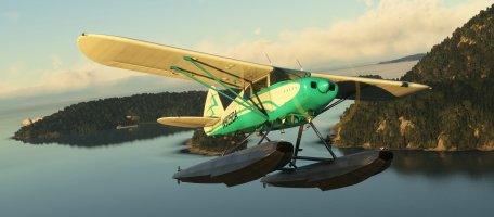 Microsoft Flight Simulator 8_12_2025 1_43_32 PM_wide.jpg