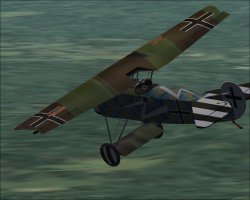 damaged_fokker_DVIII.jpg