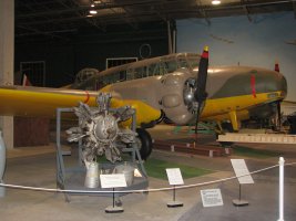IMG_8333.JPG