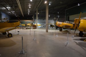 DSC_0029.JPG
