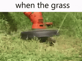 1756496308103.gif