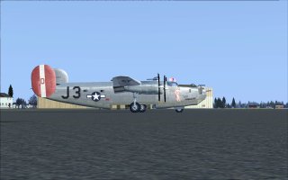 b24_lily_wide_2.jpg