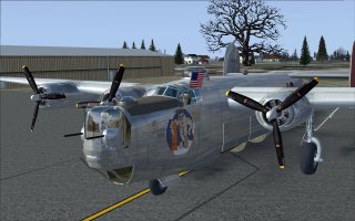 b24_lily_wide_3.jpg