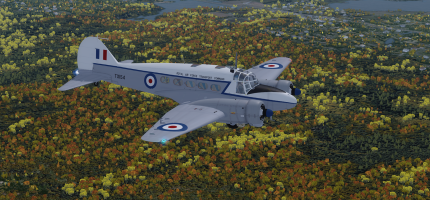 Anson_NE.png