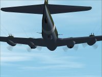 P108_correct_belly_texture.jpg