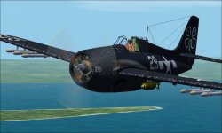 Allen FM-2 foster l.jpg