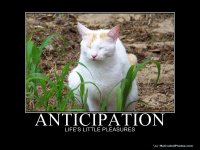 anticipation-my-doves.jpg
