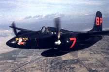 Tigercat_BP7_preserved_flying.jpg
