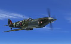 P3D_019.jpg