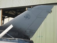 IMG_0232.jpg