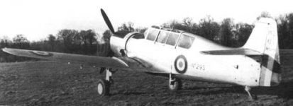 ms479.jpg