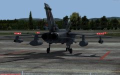 tornado rear.jpg