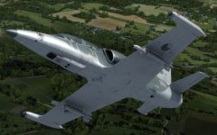 Albatross.jpg