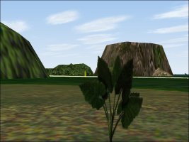 GIA-02.JPG GIA-02.JPG