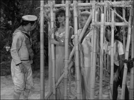 Recon_Gilligan's_Island_4.jpg Recon_Gilligan's_Island_4.jpg