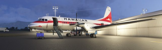 Microsoft Flight Simulator 2024 10_3_2025 3_25_28 PM.jpg