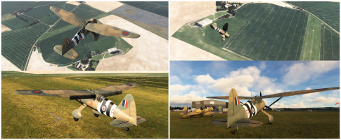 LYsander 2.png