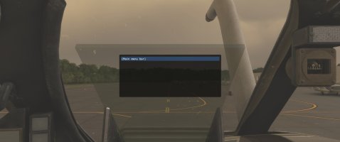 bug.jpg