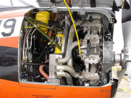 1763137341758.png 1763137341758.png