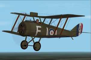 DH5 41 Sqd.jpg