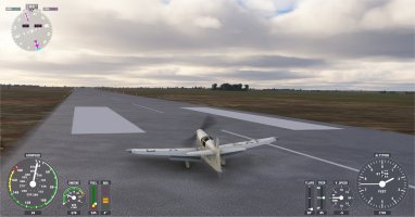 09 landed narrow runway.jpg