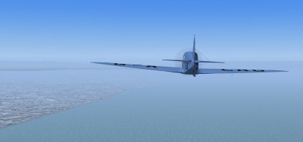 5 eagle crabbing shore.jpg