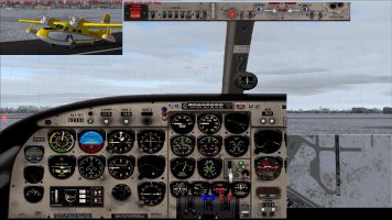 3 Widgeon lined up.jpg