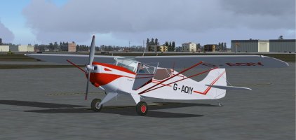 1 Auster.jpg