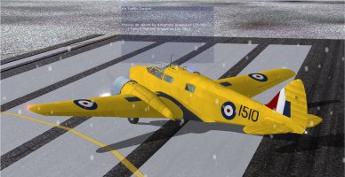 16 would not stop.jpg