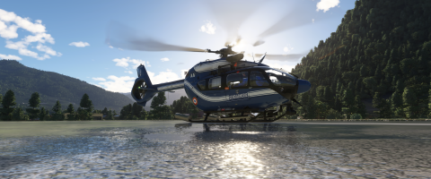 H145 Flic 4.png