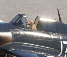 2026-02-22 16_28_19-GreenshotDD.jpg