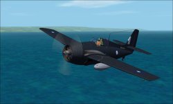 Wildcat VI.jpg