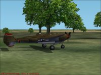 chestnut02.jpg