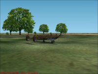 chestnut01.jpg