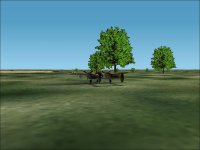Beech01.jpg