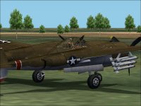 Birch01.jpg