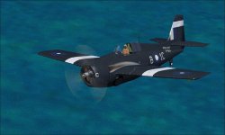 Wildcat VI c.jpg