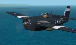 Wildcat VI 1.jpg