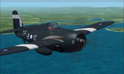 Wildcat VI 2.jpg