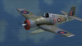 Hellcat 800Sqn 5.jpg